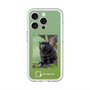 スリムプロテクションプレミアムケース with MagSafe［ Green Future Project - Black-mantled Tamarin ］