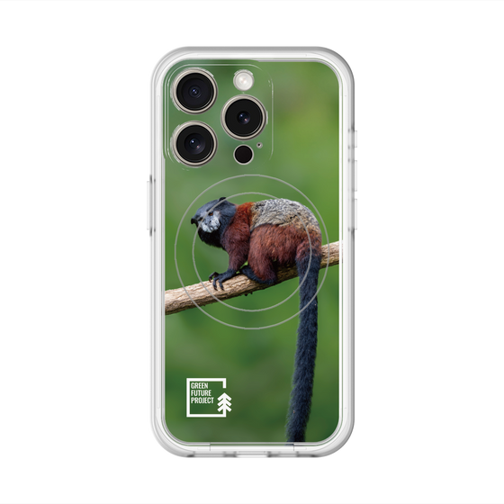 スリムプロテクションプレミアムケース with MagSafe［ Green Future Project - Saddle-backTamarin ］