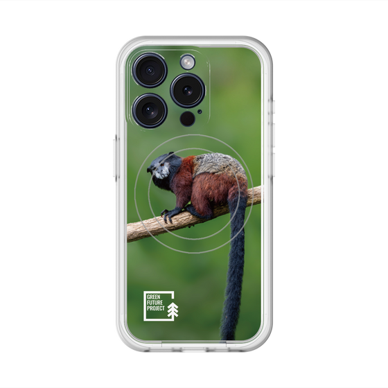 スリムプロテクションプレミアムケース with MagSafe［ Green Future Project - Saddle-backTamarin ］
