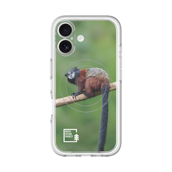 スリムプロテクションプレミアムケース with MagSafe［ Green Future Project - Saddle-backTamarin ］