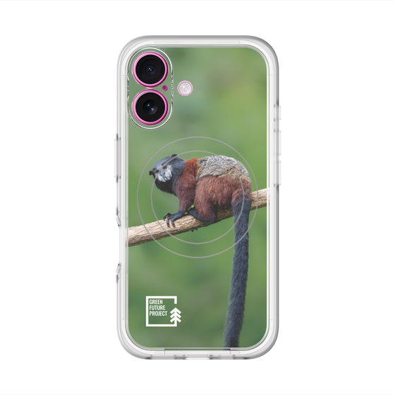 スリムプロテクションプレミアムケース with MagSafe［ Green Future Project - Saddle-backTamarin ］