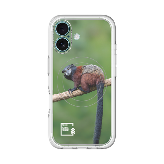スリムプロテクションプレミアムケース with MagSafe［ Green Future Project - Saddle-backTamarin ］