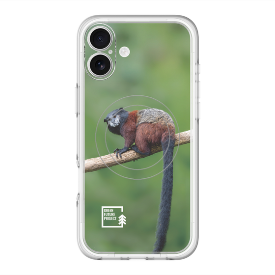 スリムプロテクションプレミアムケース with MagSafe［ Green Future Project - Saddle-backTamarin ］