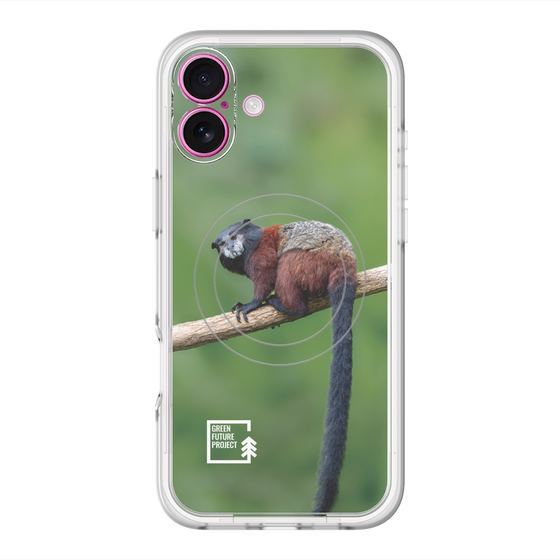 スリムプロテクションプレミアムケース with MagSafe［ Green Future Project - Saddle-backTamarin ］