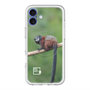 スリムプロテクションプレミアムケース with MagSafe［ Green Future Project - Saddle-backTamarin ］