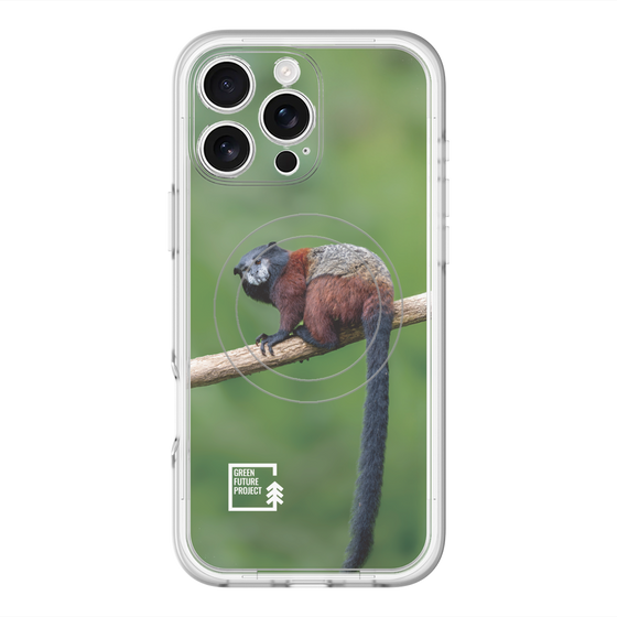 スリムプロテクションプレミアムケース with MagSafe［ Green Future Project - Saddle-backTamarin ］
