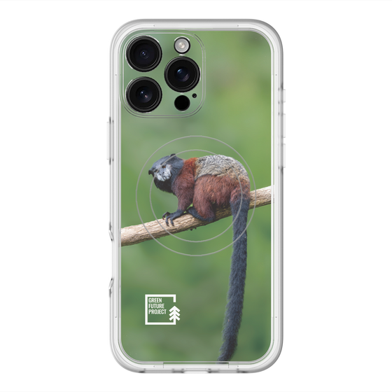 スリムプロテクションプレミアムケース with MagSafe［ Green Future Project - Saddle-backTamarin ］
