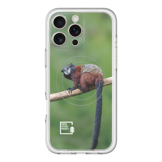 スリムプロテクションプレミアムケース with MagSafe［ Green Future Project - Saddle-backTamarin ］