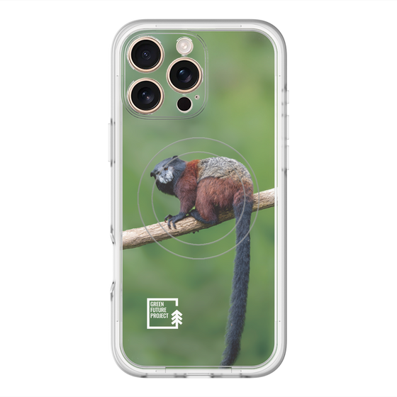 スリムプロテクションプレミアムケース with MagSafe［ Green Future Project - Saddle-backTamarin ］