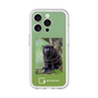 スリムプロテクションプレミアムケース with MagSafe［ Green Future Project - Black-mantled Tamarin ］