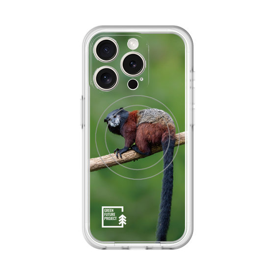 スリムプロテクションプレミアムケース with MagSafe［ Green Future Project - Saddle-backTamarin ］