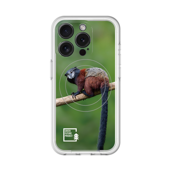 スリムプロテクションプレミアムケース with MagSafe［ Green Future Project - Saddle-backTamarin ］