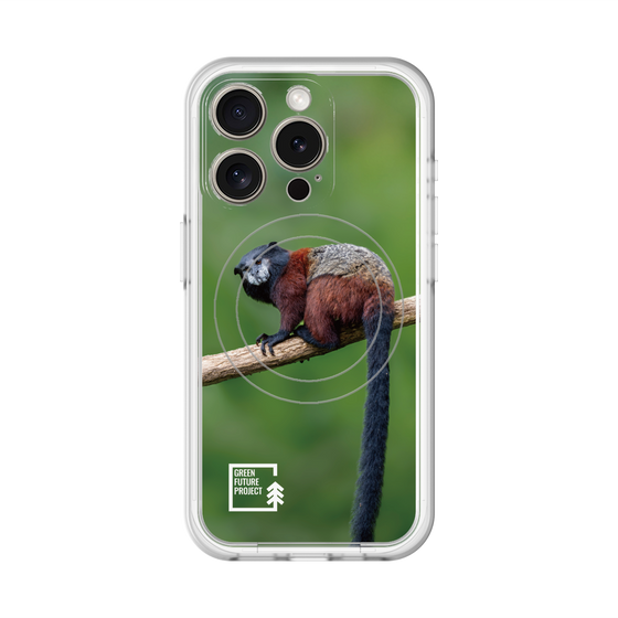 スリムプロテクションプレミアムケース with MagSafe［ Green Future Project - Saddle-backTamarin ］