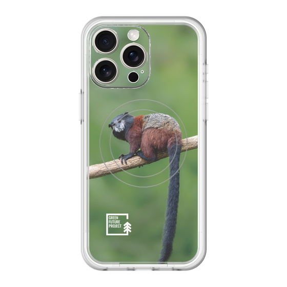 スリムプロテクションプレミアムケース with MagSafe［ Green Future Project - Saddle-backTamarin ］