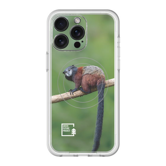 スリムプロテクションプレミアムケース with MagSafe［ Green Future Project - Saddle-backTamarin ］