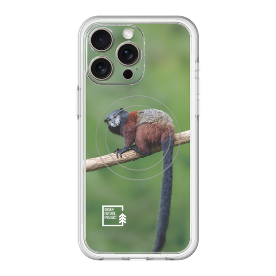 スリムプロテクションプレミアムケース with MagSafe［ Green Future Project - Saddle-backTamarin ］