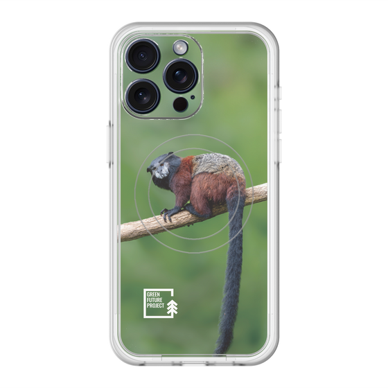 スリムプロテクションプレミアムケース with MagSafe［ Green Future Project - Saddle-backTamarin ］