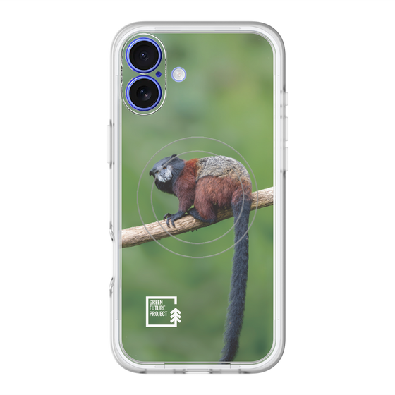 スリムプロテクションプレミアムケース with MagSafe［ Green Future Project - Saddle-backTamarin ］