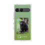 プレミアムスクエアケース［ Green Future Project - Black-mantled Tamarin ］