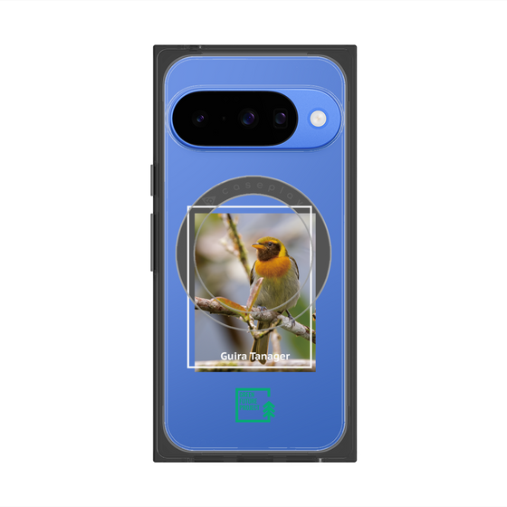 プレミアムスクエアケース with Pixelsnap［ Green Future Project - Guira Tanager ］