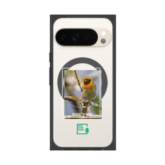 プレミアムスクエアケース with Pixelsnap［ Green Future Project - Guira Tanager ］