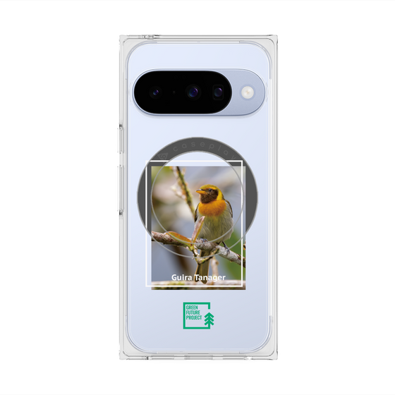 プレミアムスクエアケース with Pixelsnap［ Green Future Project - Guira Tanager ］