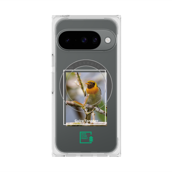 プレミアムスクエアケース with Pixelsnap［ Green Future Project - Guira Tanager ］