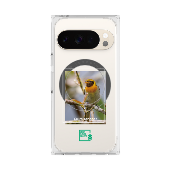 プレミアムスクエアケース with Pixelsnap［ Green Future Project - Guira Tanager ］