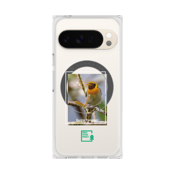 プレミアムスクエアケース with Pixelsnap［ Green Future Project - Guira Tanager ］