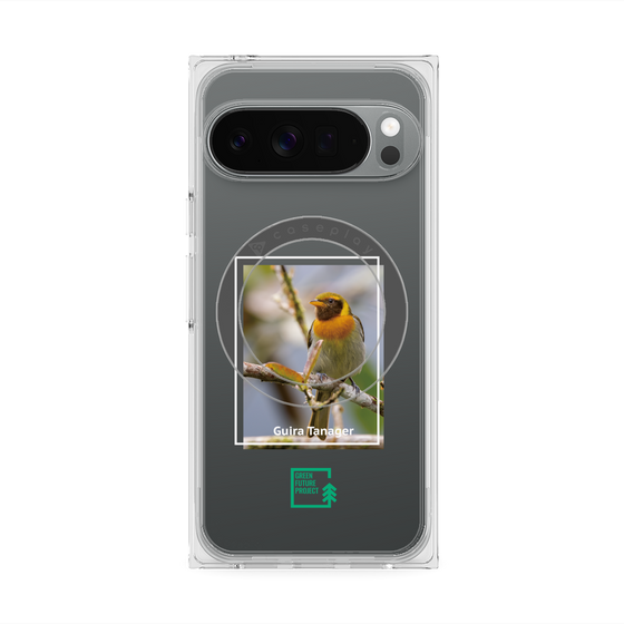 プレミアムスクエアケース with Pixelsnap［ Green Future Project - Guira Tanager ］