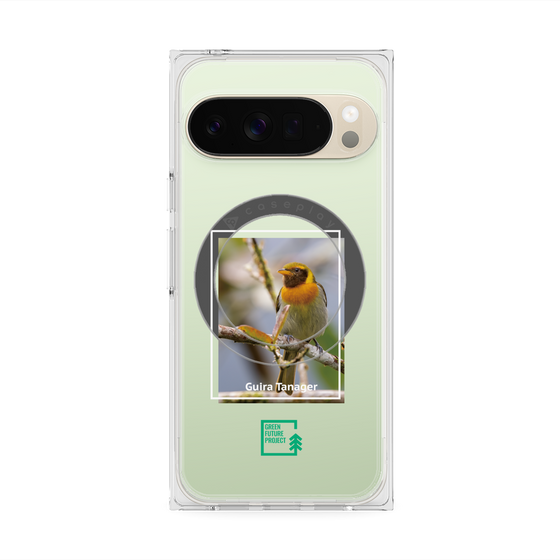 プレミアムスクエアケース with Pixelsnap［ Green Future Project - Guira Tanager ］