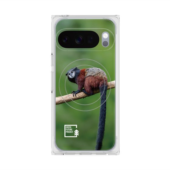 プレミアムスクエアケース with Pixelsnap［ Green Future Project - Saddle-backTamarin ］