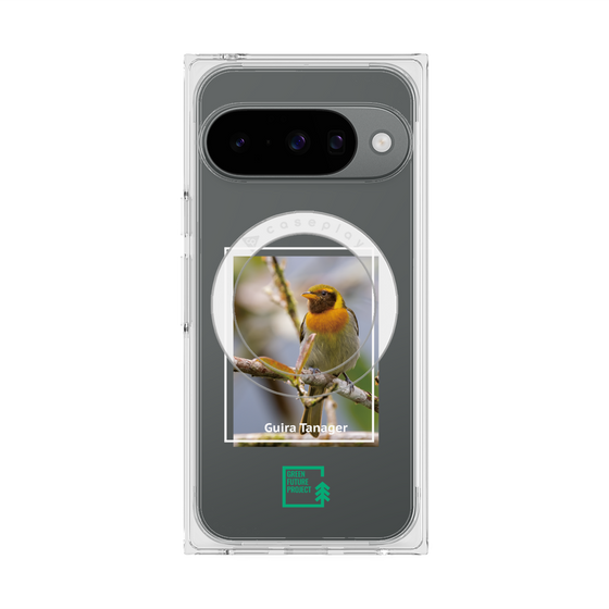プレミアムスクエアケース with Pixelsnap［ Green Future Project - Guira Tanager ］