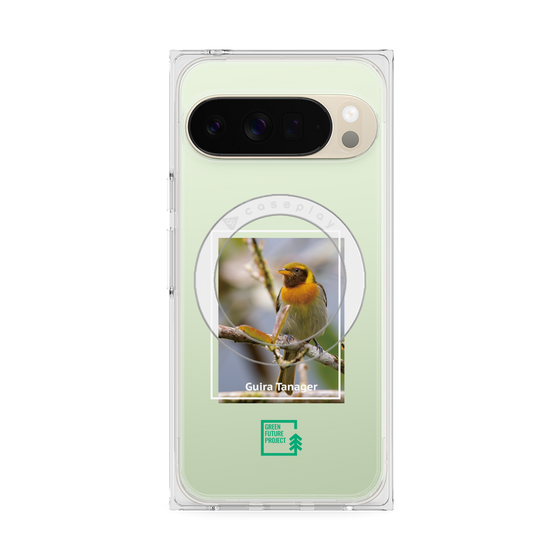 プレミアムスクエアケース with Pixelsnap［ Green Future Project - Guira Tanager ］