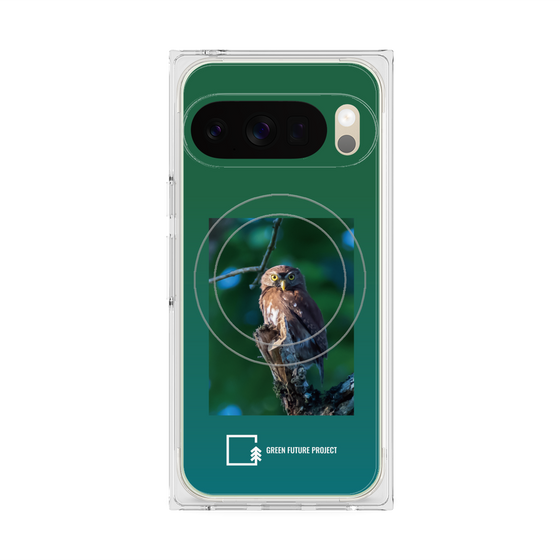 プレミアムスクエアケース with Pixelsnap［ Green Future Project - Ferruginous Pygmy Owl ］