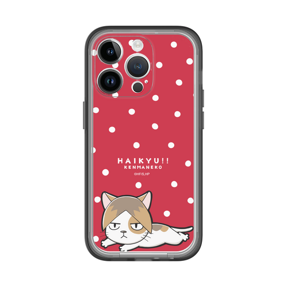 スリムプロテクションプレミアムケース［ ハイキュー!! - ケンマネコ ］