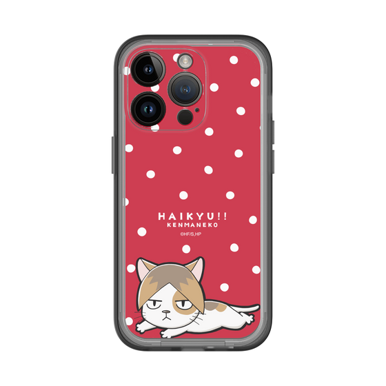 スリムプロテクションプレミアムケース［ ハイキュー!! - ケンマネコ ］