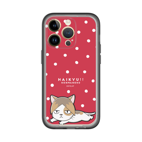 スリムプロテクションプレミアムケース［ ハイキュー!! - ケンマネコ ］