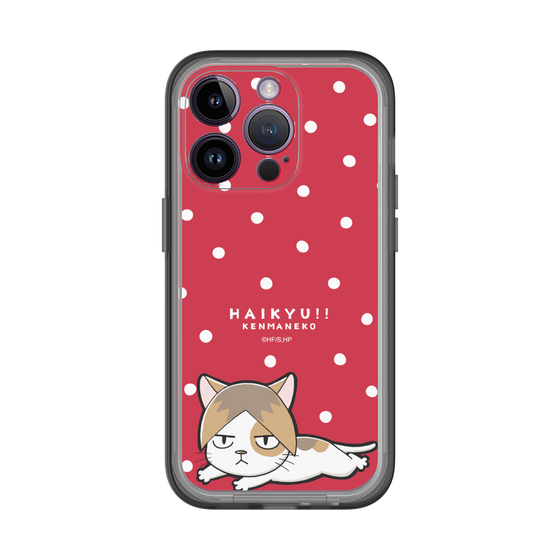 スリムプロテクションプレミアムケース［ ハイキュー!! - ケンマネコ ］