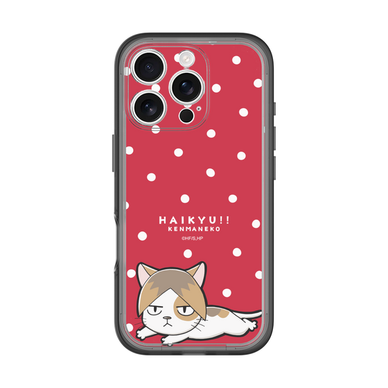スリムプロテクションプレミアムケース［ ハイキュー!! - ケンマネコ ］
