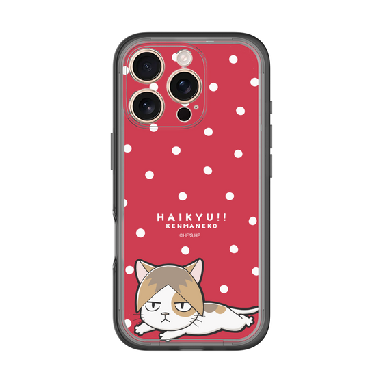 スリムプロテクションプレミアムケース［ ハイキュー!! - ケンマネコ ］