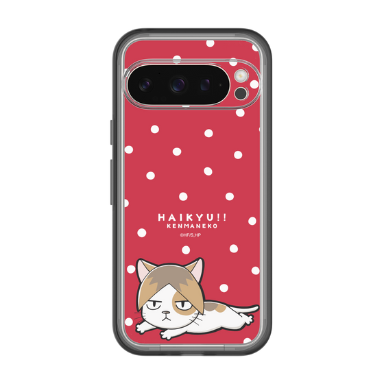 スリムプロテクションプレミアムケース［ ハイキュー!! - ケンマネコ ］