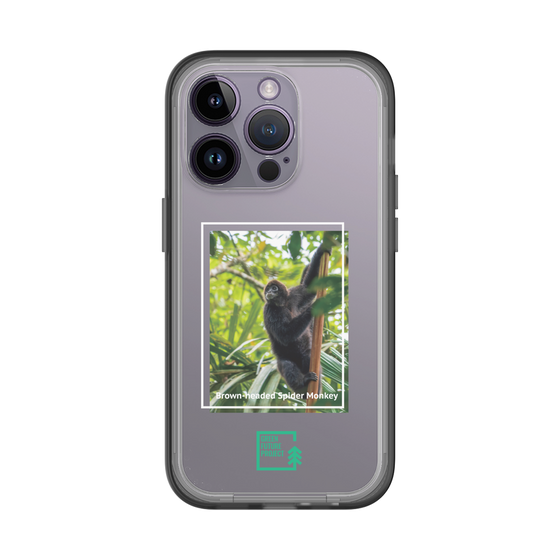 スリムプロテクションプレミアムケース［ Green Future Project - Brown-headed Spider Monkey ］