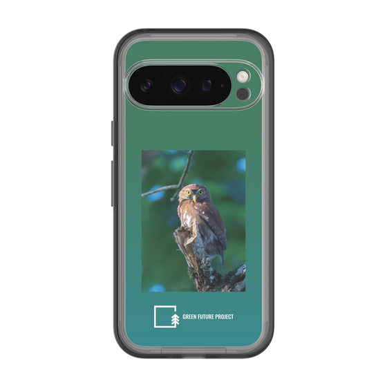 スリムプロテクションプレミアムケース［ Green Future Project - Ferruginous Pygmy Owl ］