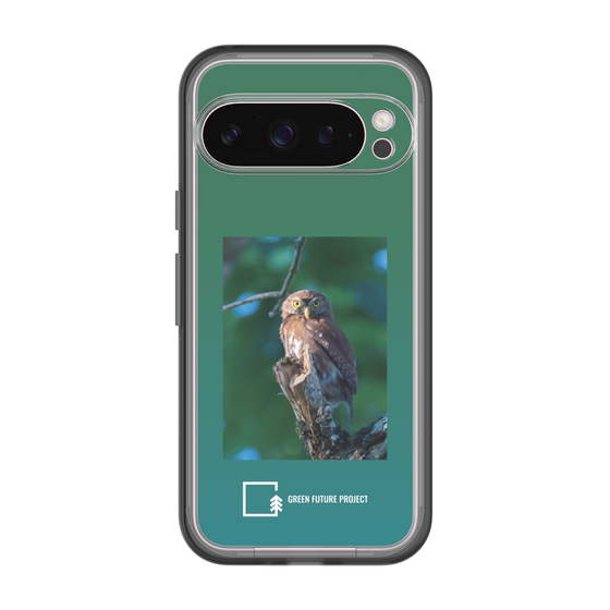 スリムプロテクションプレミアムケース［ Green Future Project - Ferruginous Pygmy Owl ］