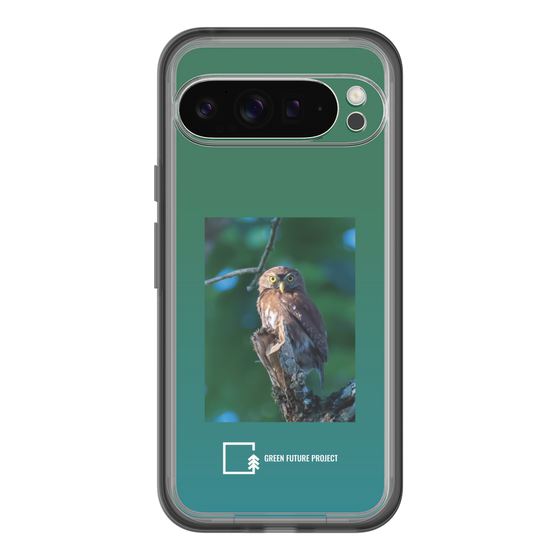 スリムプロテクションプレミアムケース［ Green Future Project - Ferruginous Pygmy Owl ］
