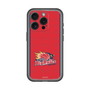 スリムプロテクションプレミアムケース［ B.LEAGUE - 岩手ビッグブルズ - ロゴデザイン ］