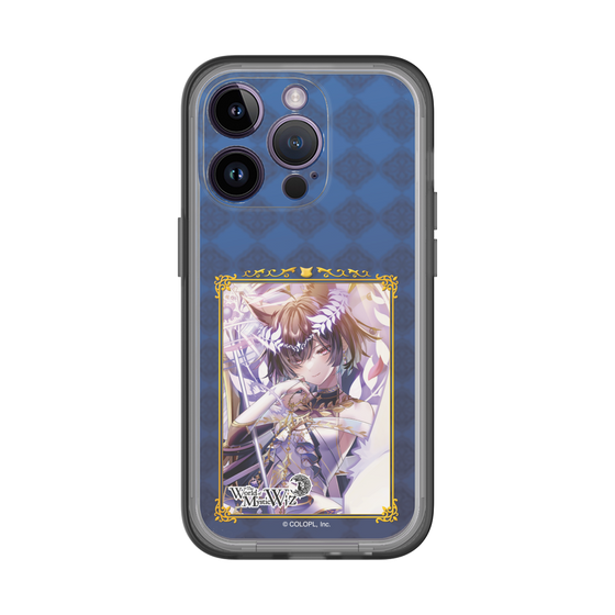 スリムプロテクションプレミアムケース［ クイズRPG 魔法使いと黒猫のウィズ - ハデスIV ］