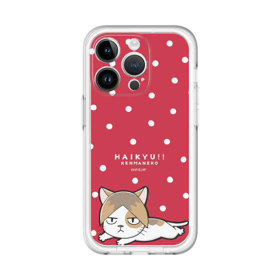 スリムプロテクションプレミアムケース［ ハイキュー!! - ケンマネコ ］
