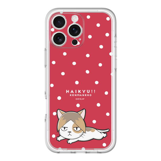スリムプロテクションプレミアムケース［ ハイキュー!! - ケンマネコ ］